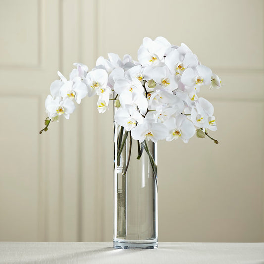 White Phalaenopsis Bouquet